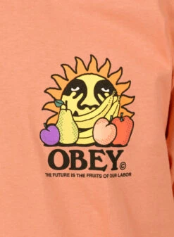 Obey The Future Is The Fruits Of Ours Citrus